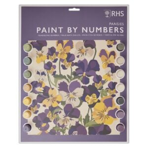 Paint By Numbers – Pansies