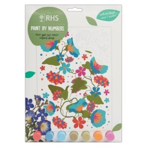 Paint By Numbers – Petunias