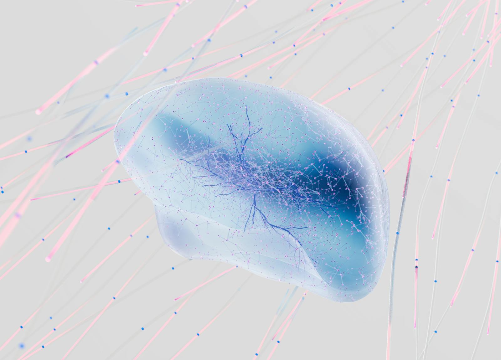 ColoringBook AI Review: Transform Photos and Text into Captivating Colouring Pages