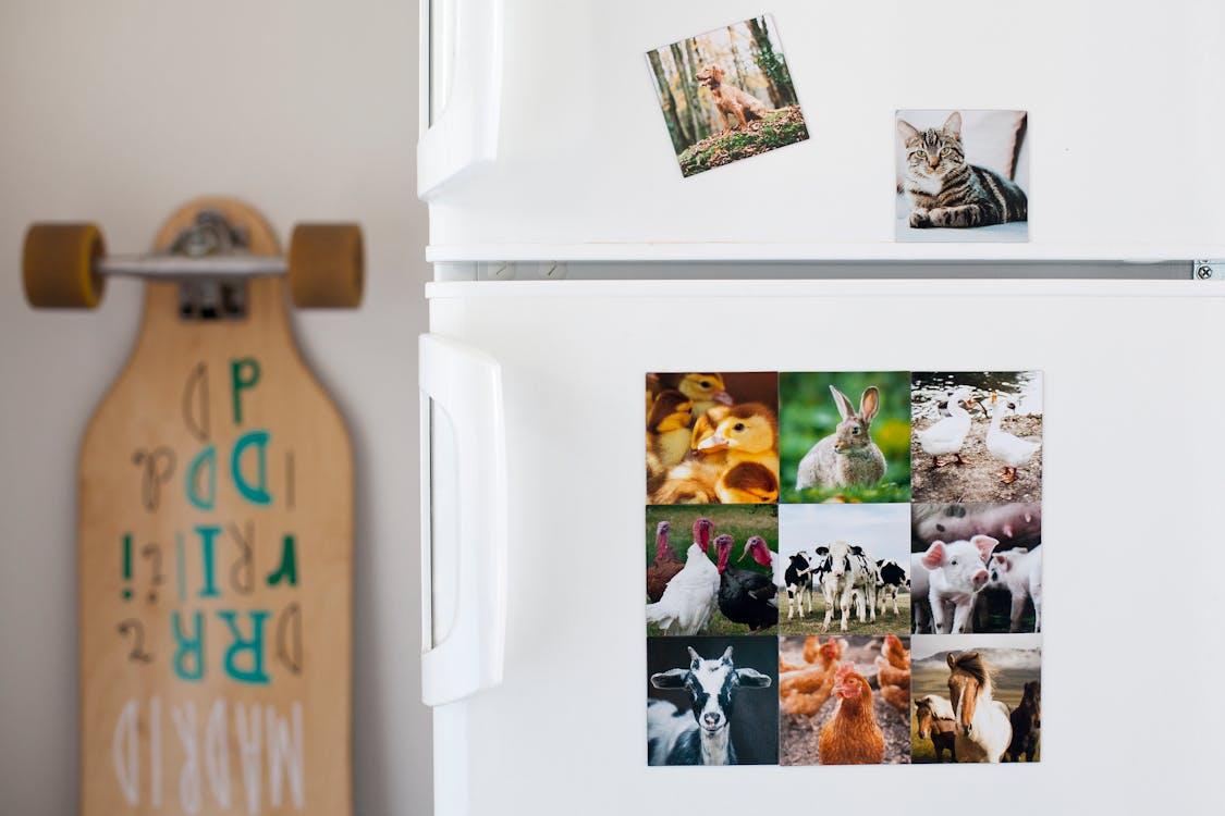 Transform Your Designs Into Durable Magnetic Prints